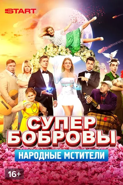 СуперБобровы. Народные мстители